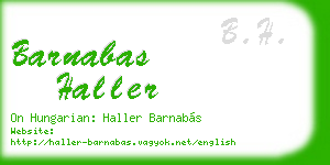 barnabas haller business card