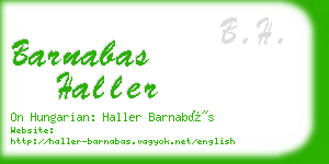 barnabas haller business card